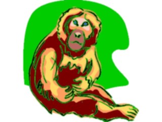 Sticker Custom Preview Image #024406 Animals Land Animals Chimp04