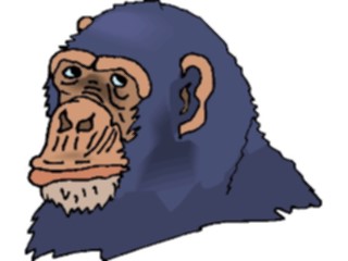 Sticker Custom Preview Image #024408 Animals Land Animals Chimp06