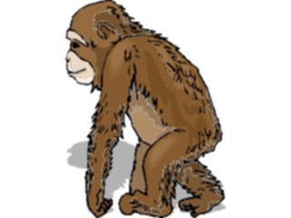 Sticker Custom Preview Image #024409 Animals Land Animals Chimp07