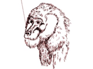 Sticker Custom Preview Image #024412 Animals Land Animals Chimp10