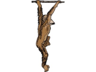 Sticker Custom Preview Image #024413 Animals Land Animals Chimp Hanging