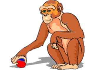 Sticker Custom Preview Image #024416 Animals Land Animals Chimpwith Ball