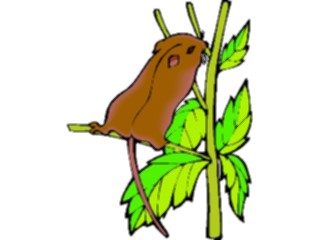 Sticker Custom Preview Image #024420 Animals Land Animals Chipmunk4