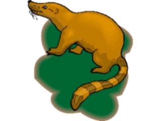 Sticker Custom Preview Image #024427 Animals Land Animals Coatimundi1