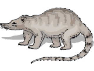 Sticker Custom Preview Image #024428 Animals Land Animals Coatimundi2