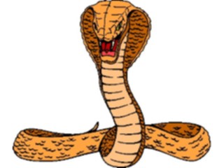 Sticker Custom Preview Image #024429 Animals Land Animals Cobra01