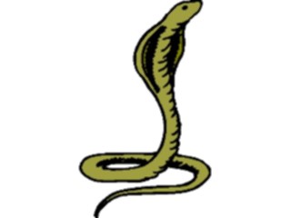 Sticker Custom Preview Image #024430 Animals Land Animals Cobra02