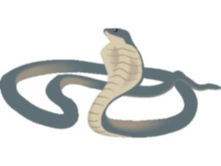 Sticker Custom Preview Image #024432 Animals Land Animals Cobra04