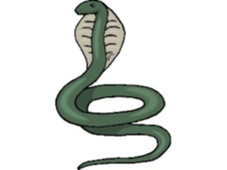 Sticker Custom Preview Image #024436 Animals Land Animals Cobra08