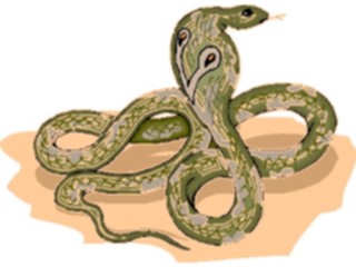 Sticker Custom Preview Image #024437 Animals Land Animals Cobra09