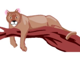 Sticker Custom Preview Image #024440 Animals Land Animals Cougar2