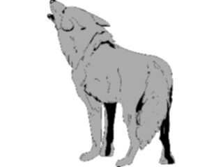 Sticker Custom Preview Image #024442 Animals Land Animals Coyote1