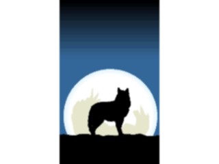 Sticker Custom Preview Image #024449 Animals Land Animals Coyote Graphic2
