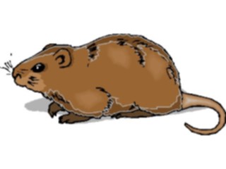 Sticker Custom Preview Image #024451 Animals Land Animals Coypu2
