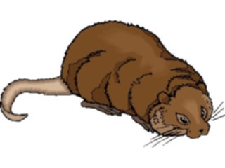 Sticker Custom Preview Image #024452 Animals Land Animals Coypu3