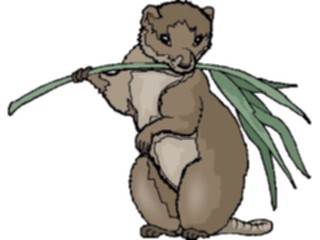 Sticker Custom Preview Image #024453 Animals Land Animals Coypu4