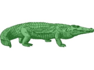 Sticker Custom Preview Image #024455 Animals Land Animals Crocodile2