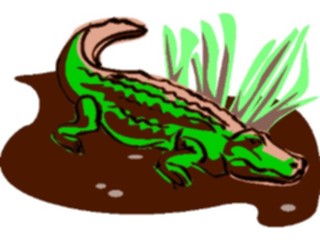 Sticker Custom Preview Image #024456 Animals Land Animals Crocodile3