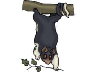 Sticker Custom Preview Image #024457 Animals Land Animals Cuscus1