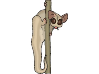 Sticker Custom Preview Image #024458 Animals Land Animals Cuscus2