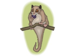 Sticker Custom Preview Image #024459 Animals Land Animals Cuscus3