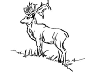 Sticker Custom Preview Image #024462 Animals Land Animals Deer02