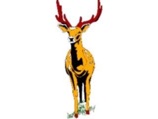 Sticker Custom Preview Image #024463 Animals Land Animals Deer03
