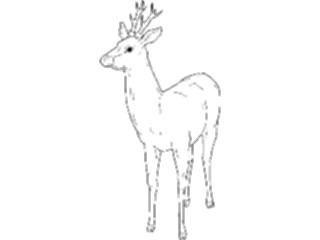 Sticker Custom Preview Image #024465 Animals Land Animals Deer05