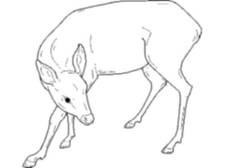 Sticker Custom Preview Image #024466 Animals Land Animals Deer06