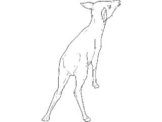 Sticker Custom Preview Image #024467 Animals Land Animals Deer07