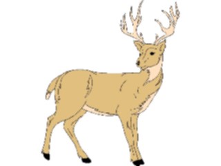 Sticker Custom Preview Image #024470 Animals Land Animals Deer10