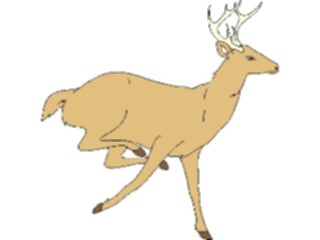 Sticker Custom Preview Image #024471 Animals Land Animals Deer11