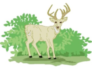Sticker Custom Preview Image #024472 Animals Land Animals Deer12
