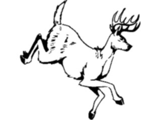 Sticker Custom Preview Image #024473 Animals Land Animals Deer13