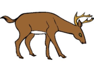 Sticker Custom Preview Image #024474 Animals Land Animals Deer14