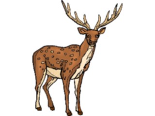 Sticker Custom Preview Image #024482 Animals Land Animals Deer22