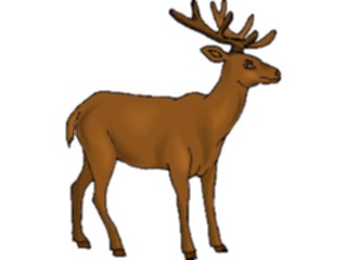 Sticker Custom Preview Image #024483 Animals Land Animals Deer23