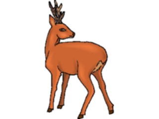 Sticker Custom Preview Image #024484 Animals Land Animals Deer24