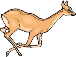 Sticker Custom Preview Image #024486 Animals Land Animals Deer26