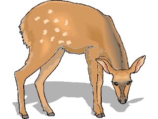 Sticker Custom Preview Image #024490 Animals Land Animals Deer30