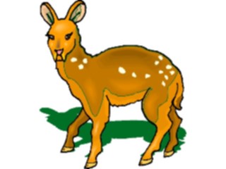 Sticker Custom Preview Image #024491 Animals Land Animals Deer31