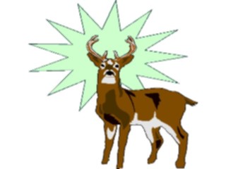 Sticker Custom Preview Image #024494 Animals Land Animals Deer34
