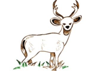 Sticker Custom Preview Image #024495 Animals Land Animals Deer35