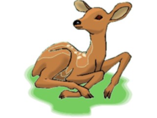 Sticker Custom Preview Image #024498 Animals Land Animals Deer Calf1