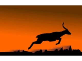 Sticker Custom Preview Image #024504 Animals Land Animals Deer Graphic2