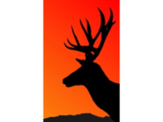 Sticker Custom Preview Image #024505 Animals Land Animals Deer Graphic3