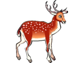 Sticker Custom Preview Image #024507 Animals Land Animals Deer Spotted