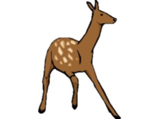 Sticker Custom Preview Image #024509 Animals Land Animals Doe2