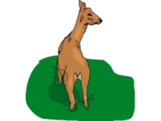 Sticker Custom Preview Image #024510 Animals Land Animals Doe3