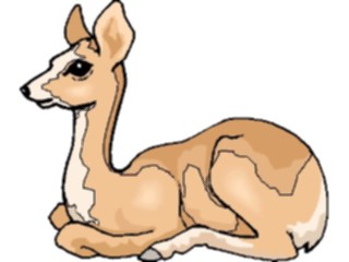 Sticker Custom Preview Image #024512 Animals Land Animals Doe5